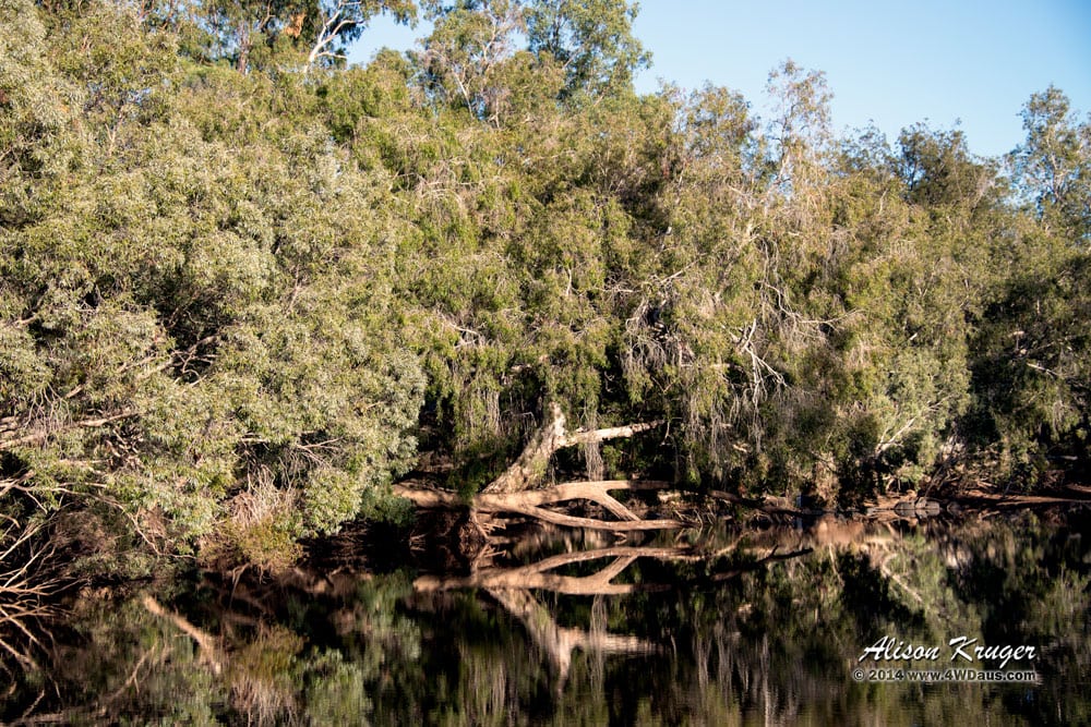 Emu Creek 1