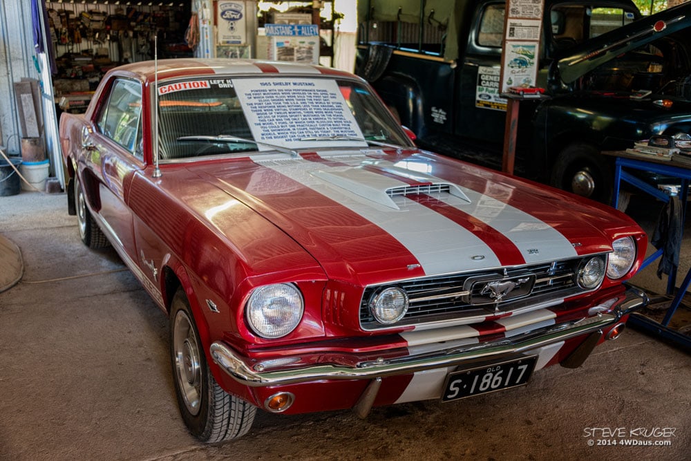 1965 Shelby Mustang Tom Prior Chillagoe