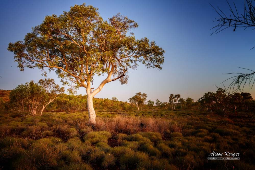Karijini National Park