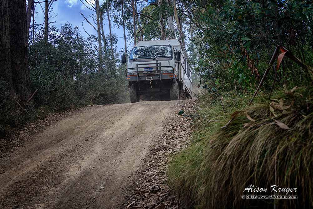 Dargo Pub Dinner