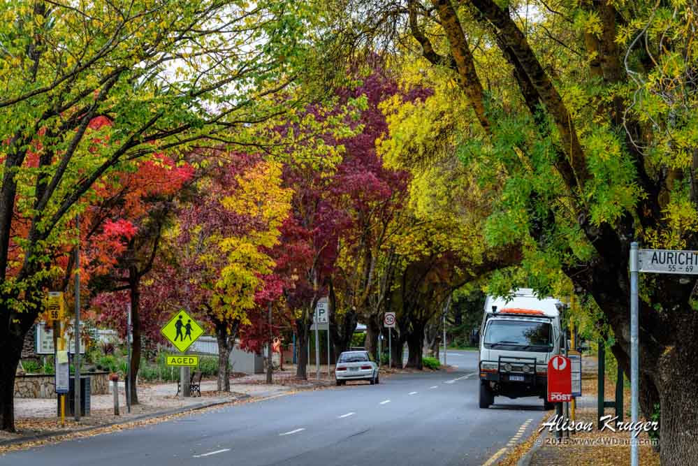 Hahndorf – the Colours of Autumn