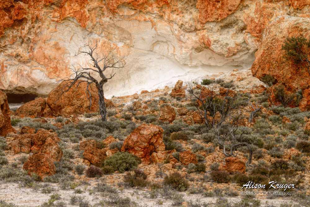 The Terraces Western Australia – Stunning
