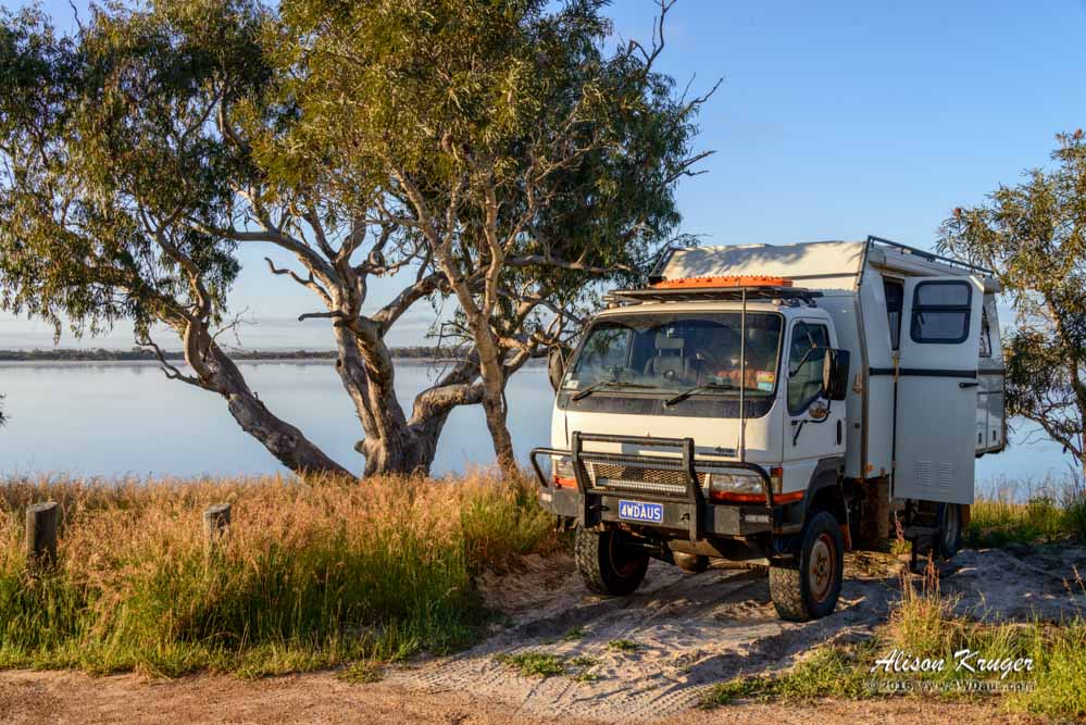 Eneabba District Wildflowers