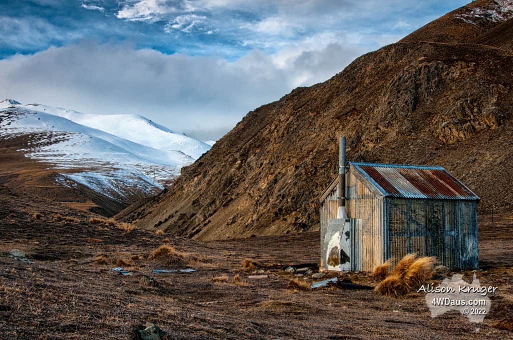 Alison – New Zealand