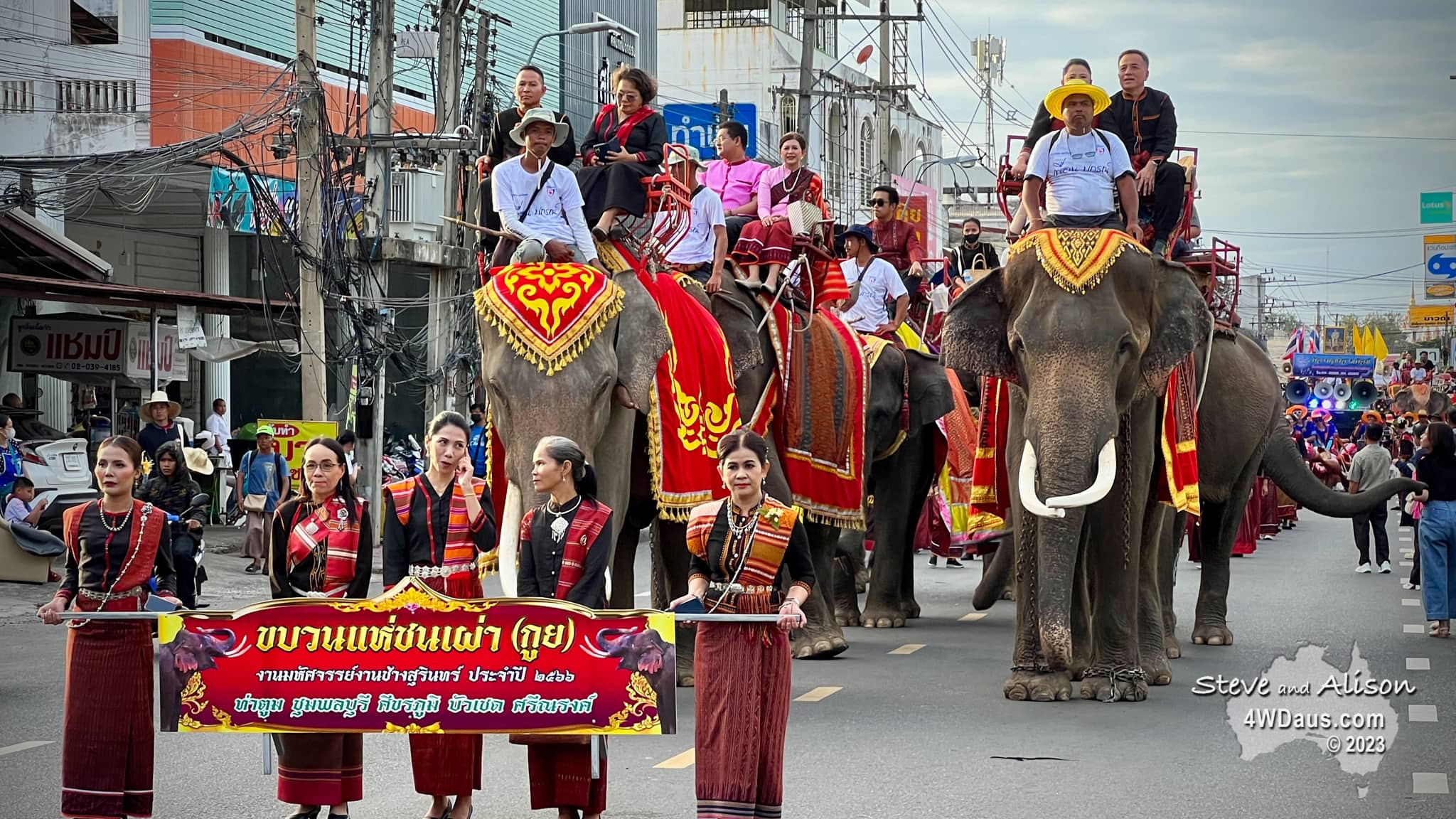 Surin Elephant Festival